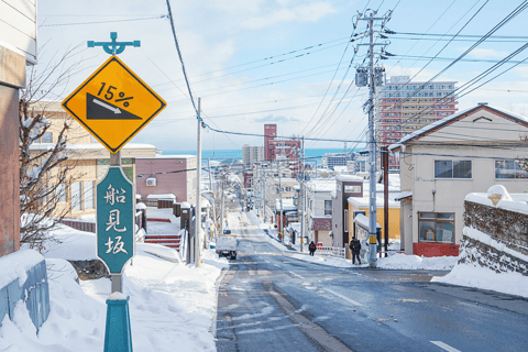 From Sapporo: Private Customized Day Tour to Otaru