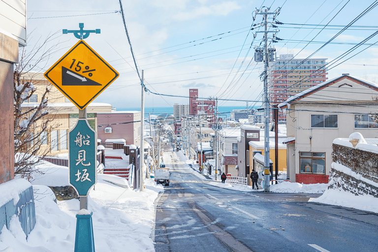 From Sapporo: Private Customized Day Tour to Otaru