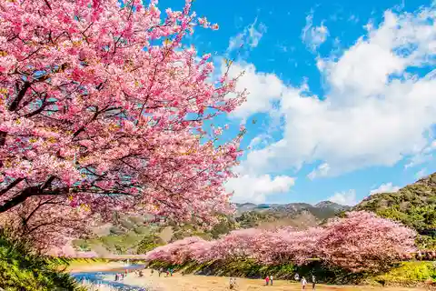 De Tóquio: Excursão de um dia a Kawazu Sakura, Morangos e Termas