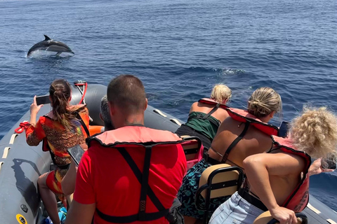 Portimão: Tour en barco con Delfines y Vida Marina con BiólogoTour privado