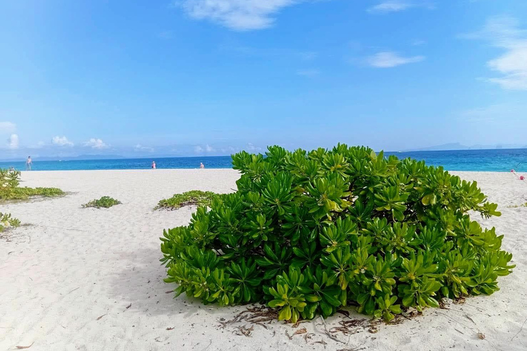 Krabi to Phi Phi Cove: Speedboat & Longtail Island Combo The Essentials