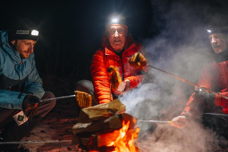Oslo Forest: Mystery Nocturne Walk with Headlamps
