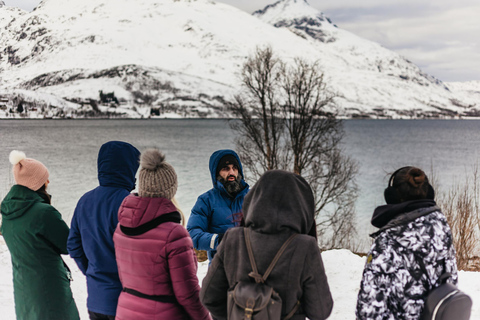 Tromsø: Paisagem ártica e passeio pelos fiordes com lanches