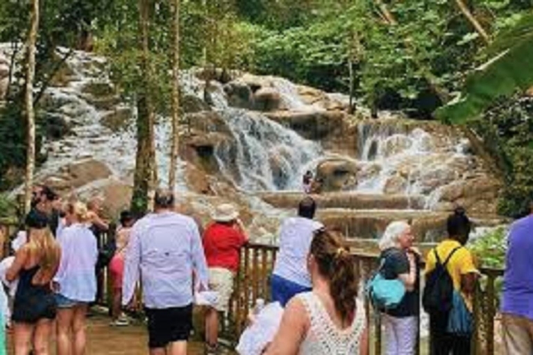 Excursion d'une journée aux chutes de la rivière DunnDunn's River Falls: visite publique d'une journée