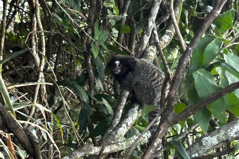 Rio De Janeiro: WĘDRÓWKA I WSPINACZKA NA GÓRĘ SUGARLOAF