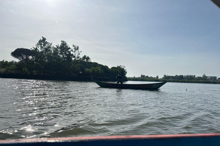 Kisumu : Lake Victoria Boat ride & Birdwatching