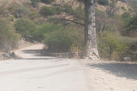 Dhofar: Salalah City and East Salalah Private Tour