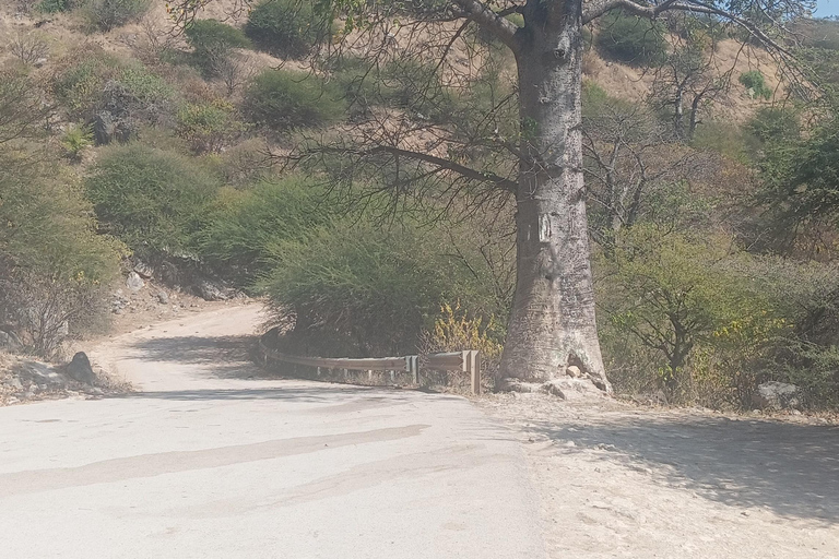 Dhofar: Salalah City and East Salalah Private Tour