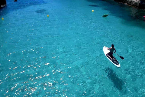 Palma: Small-Group Catamaran Cruise with Tapas, Snorkeling, and Paddleboarding Palma: Catamaran Cruise for Small Groups with Tapas, Snorkeling, and Paddleboarding