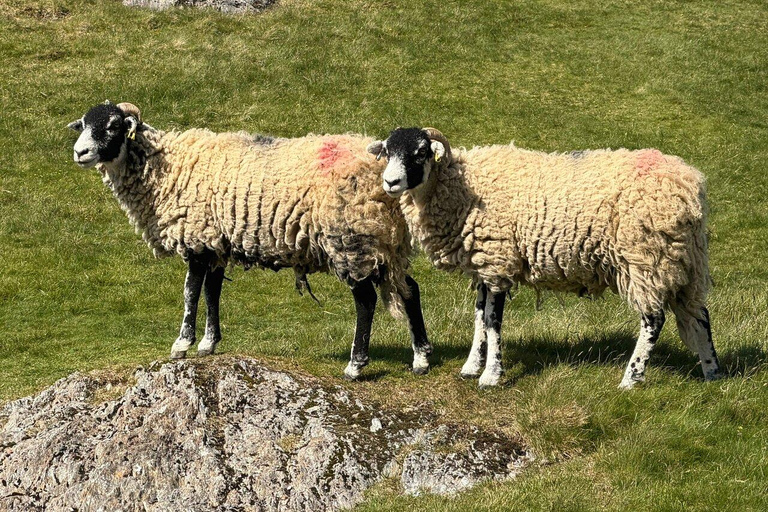 Liverpool: Lake District & Windermere Private Day Voyage
