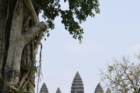 Siem Reap: Angkor Wat soluppgång Privat Tuk-Tuk-tur