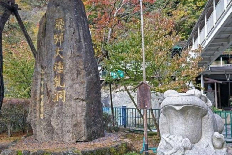 Nagoya return day tour Shin-Hotaka Ropeway& Hida Takayama