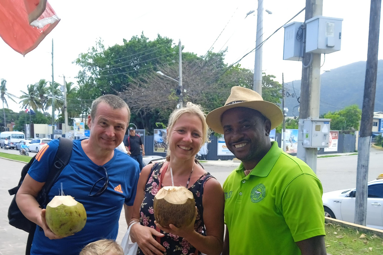 Puerto Plata: City Tour + Ocean World Adventure Park