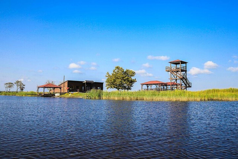 From Batumi: Georgian Amazon & Kolkheti Park Tour