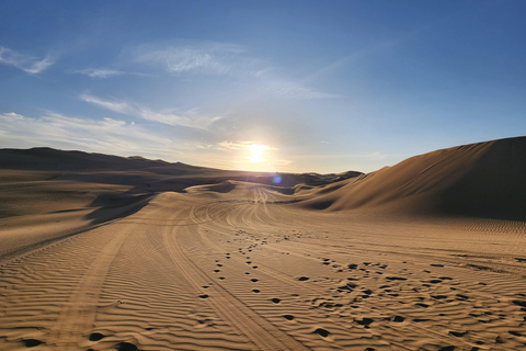 Tour por la reserva de Paracas, las islas Ballestas, Huacachina y las dunasReserva de Paracas, islas Ballestas, Huacachina y dunas