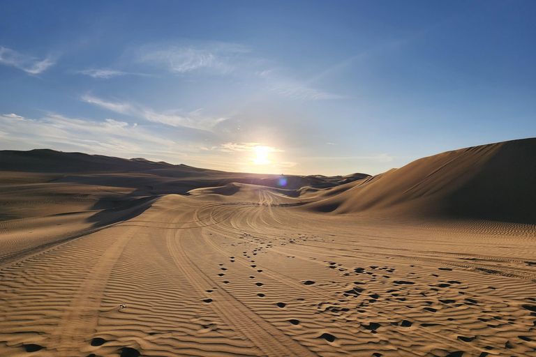 Tour por la reserva de Paracas, las islas Ballestas, Huacachina y las dunasReserva de Paracas, islas Ballestas, Huacachina y dunas