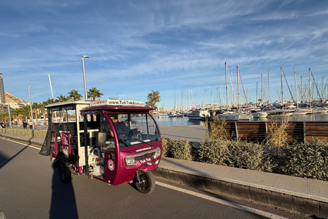 Discover Alicante by Tuk Tuk: an experience for everyone Discover Alicante and Parque El Palmeral by Tuk Tuk in 90 minutes