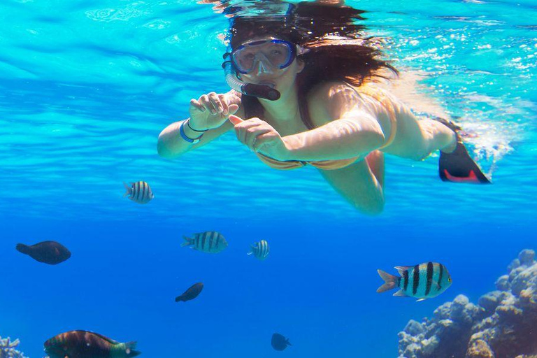 Ka'anapali Beach: Schnorcheln am Korallenriff und Schildkröten beobachten