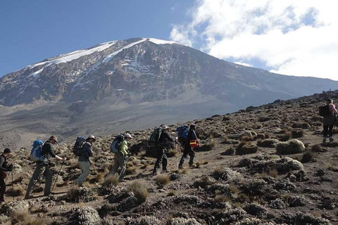 Beste Kilimanjaro dagwandeling - Machame Route - Zara Tours