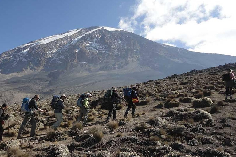 Beste Kilimanjaro dagwandeling - Machame Route - Zara Tours