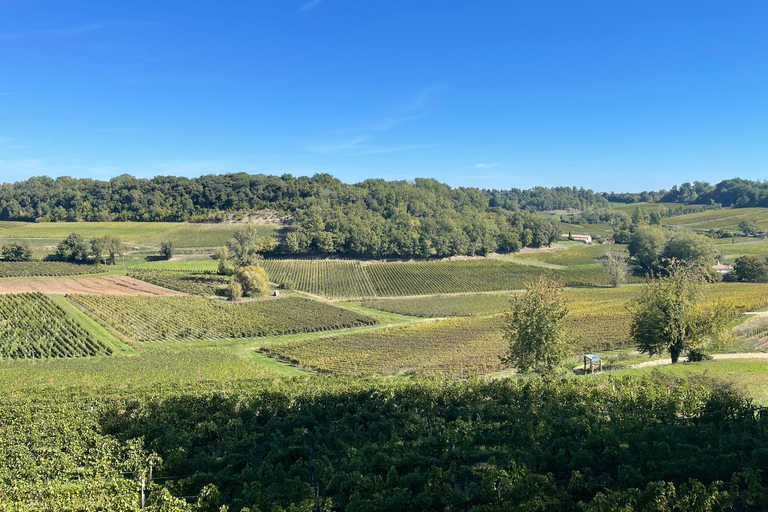 From Bordeaux: Morning in Saint-Emilion – Breakfast + Tour + Tasting Morning in Saint-Emilion from Bordeaux: Breakfast + Tour + Tasting