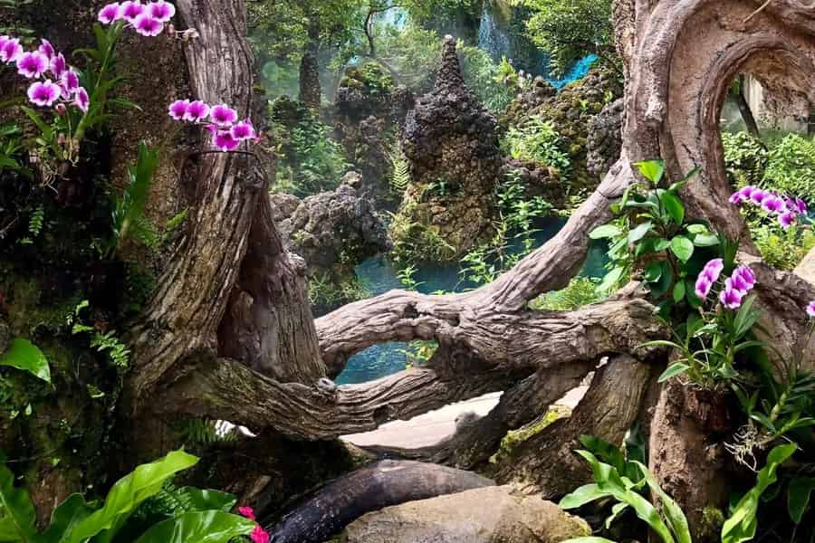 Chiang Mai: Tages-Tour zum Sticky Waterfall und Angel Waterfall Park. Foto: GetYourGuide Chiang Mai: Tages-Tour zum Sticky Waterfall und Angel Waterfall Park. Foto: GetYourGuide
