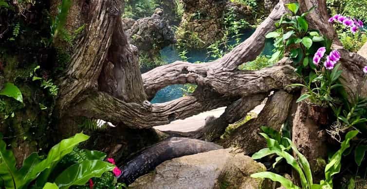 Chiang Mai: Sticky Waterfall Day Tour