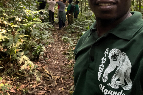 Excursion d&#039;une journée au lac Bunyonyi et dans la forêt de Kalinzu pour un trekking avec les chimpanzés