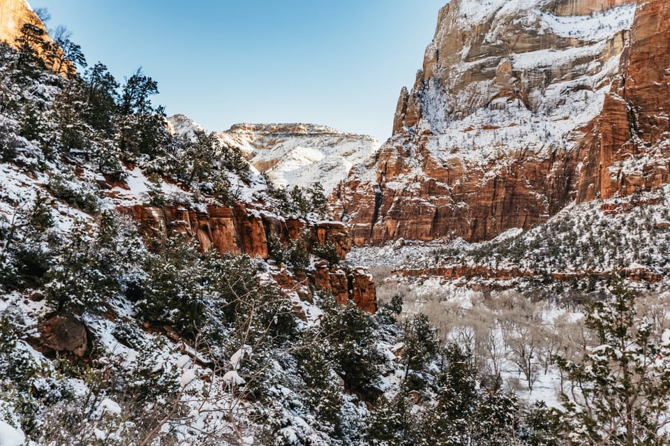 From Springdale Hour Zion Canyon Scenic Hiking Tour Getyourguide