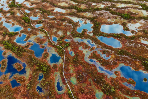 From Tallinn: Jägala Waterfall and Bog Walk Tour