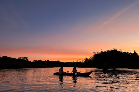 Auckland: Bioluminescence Kayak Tour with Guide
