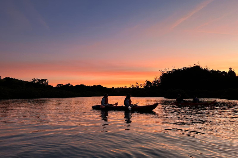 Auckland: Bioluminescence Kayak Tour with Guide
