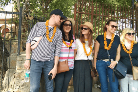 Private Jaipur City Tour from Delhi by Express Train