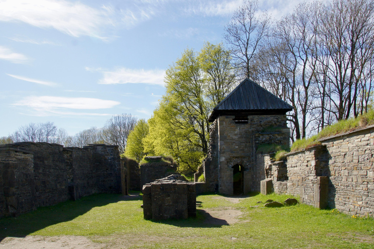 Oslo: Island Hopping with Optional Lunch