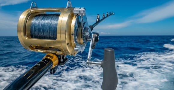 4 hour deep sea fishing experience from punta cana