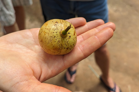 Zanzíbar: Excursión Privada al Bosque y Granja de Especias de Jozani con Almuerzo