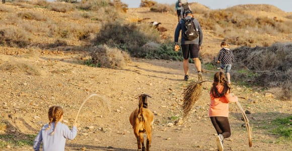 Fuerteventura Family Hike: Goat Adventure in the Back Country