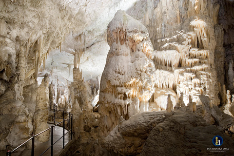 From Ljubljana: Postojna Cave and Predjama Castle Tour