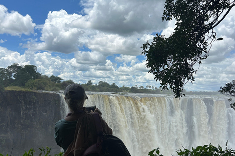 Victoria Falls: Guided Tour with Township & Market Visit