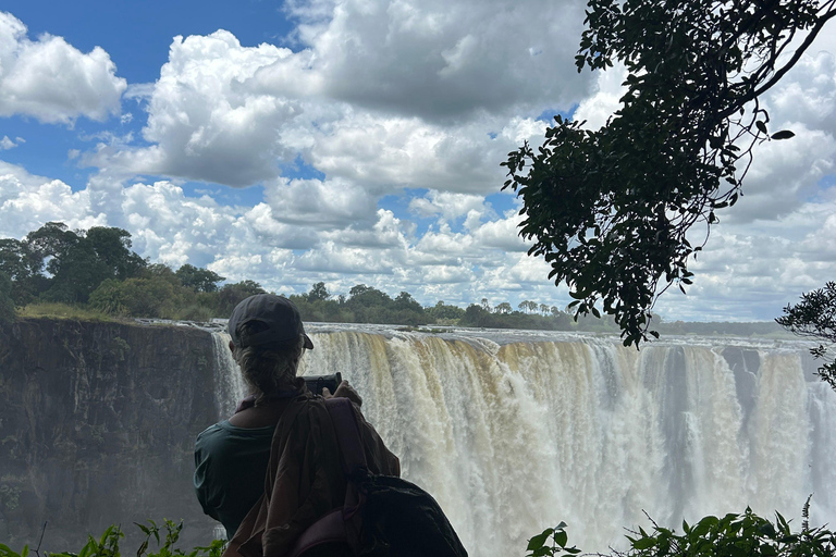 Victoria Falls: Guided Tour with Township & Market Visit