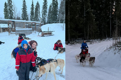 Rovaniemi: Reindeer & Husky Safari with Lunch