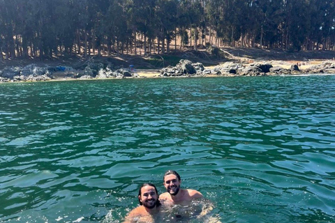 Papudo: Horseback Riding, Penguin Watching, and Sailing