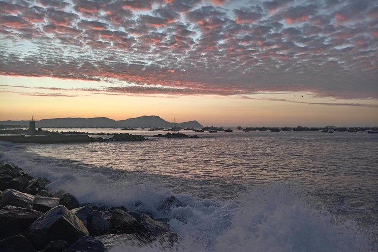 Lima: Food tour with a visit to a local market and tastings.