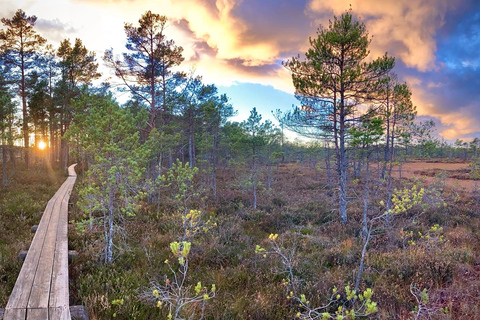Jurmala,Kuldiga, Ragaciems Strand, Kemeri N Park,Essen &amp; TrinkenJurmala, Kuldiga, Kemeri N Park, Ragaciems Strand &amp; Essen
