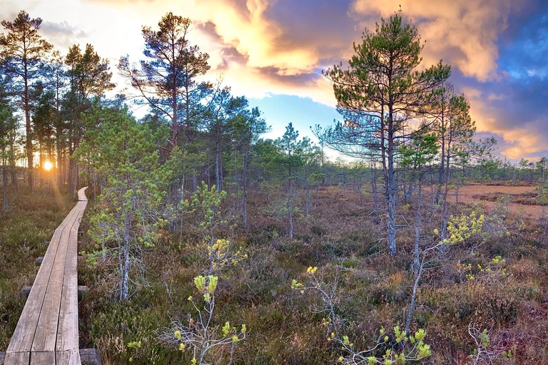 Jurmala,Kuldiga, Ragaciems Strand, Kemeri N Park,Essen &amp; TrinkenJurmala, Kuldiga, Kemeri N Park, Ragaciems Strand &amp; Essen