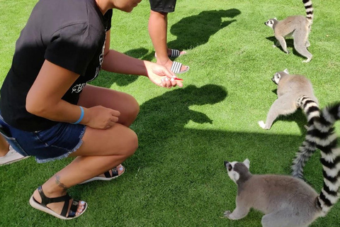 Rhodes: Farm and Aquarium Tour with Entry Tickets included
