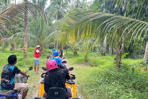 Khao Lak Wild ATV Quad Bike & Gentle Giants Experience From Khao Lak: Elephant Sanctuary Tour with ATV Bike