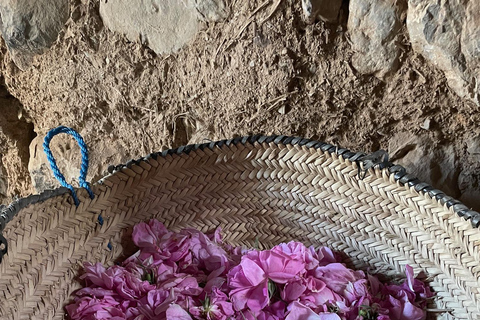 From Muscat: Rose tour in Jebel Akhdar with lunch