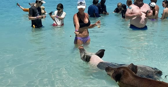 Nassau: Swimming with Pigs, Snorkeling, and Sightseeing Tour