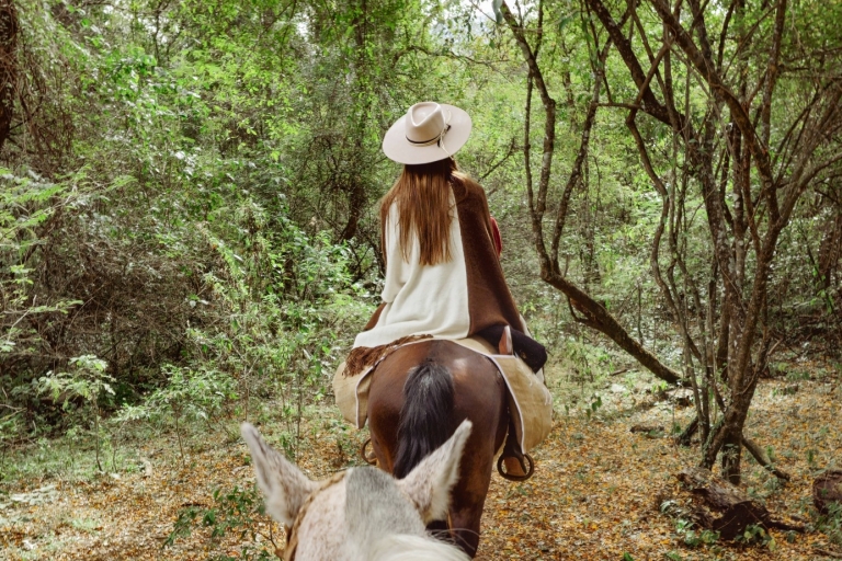 Yungas : paseo a caballo por la selva + picnic